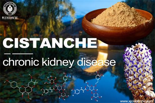 chronic kidney disease and Nitric oxide synthesis