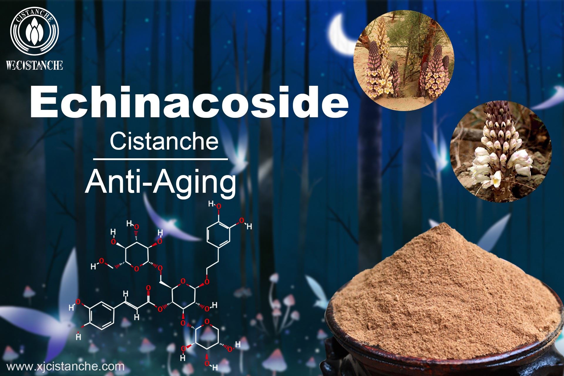 Echinacoside molecular formula of Cistanche