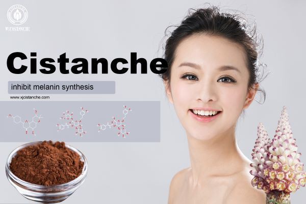 inhibit melanin synthesis