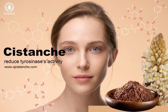 reduce tyrosinase's activity