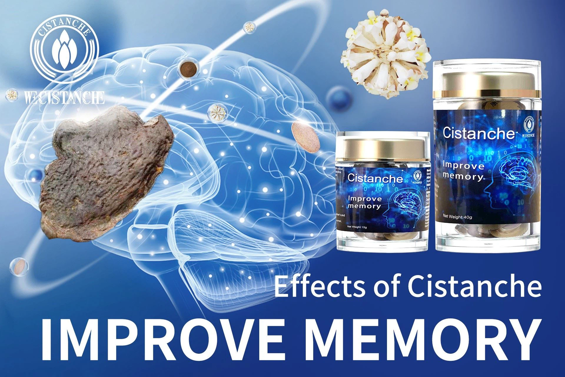 improve memory of Cistanche tubulosa supplement 