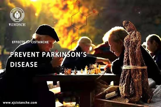 Cistanche extract: Preventing Parkinson's Disease