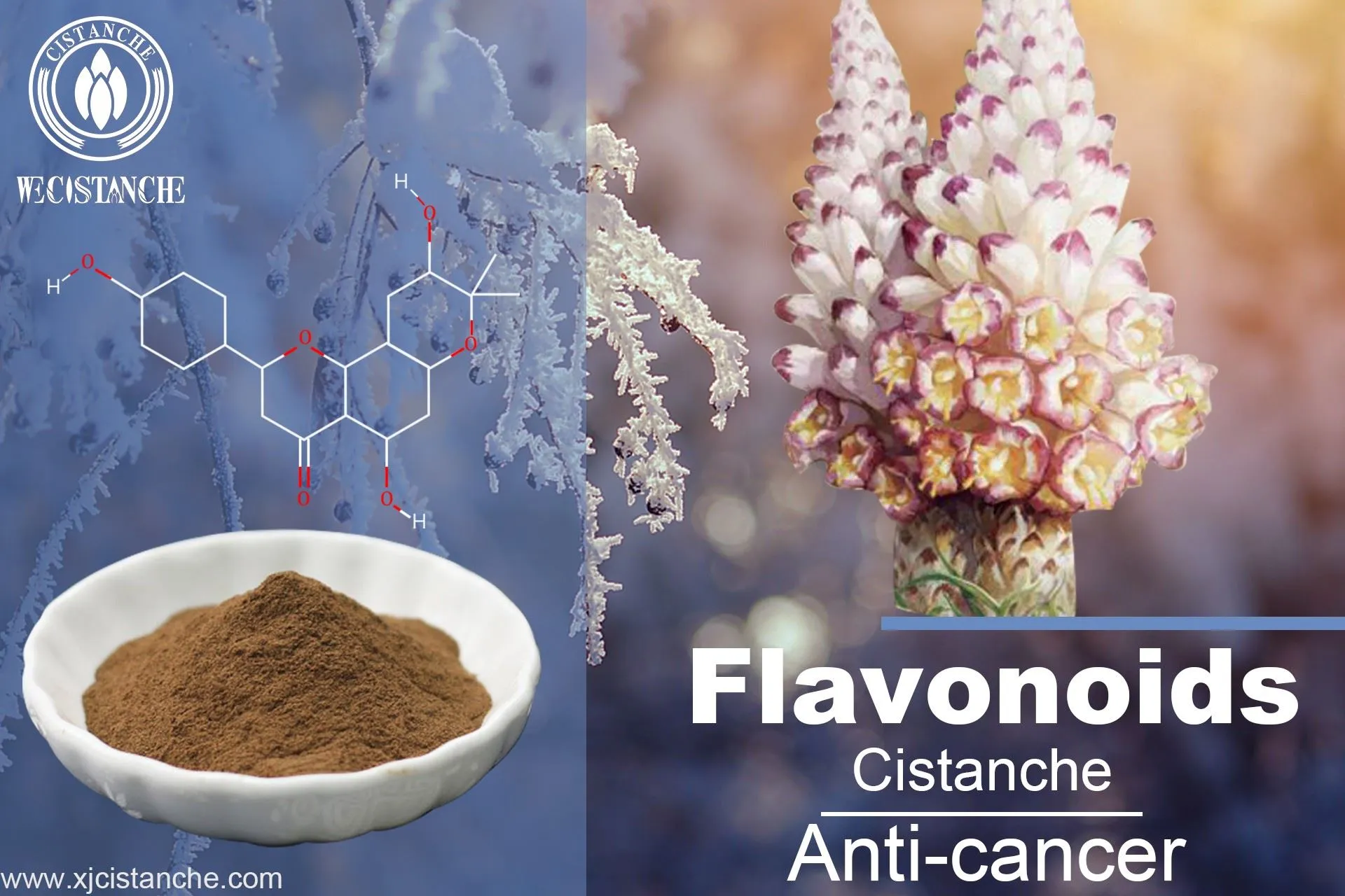 flavonoids