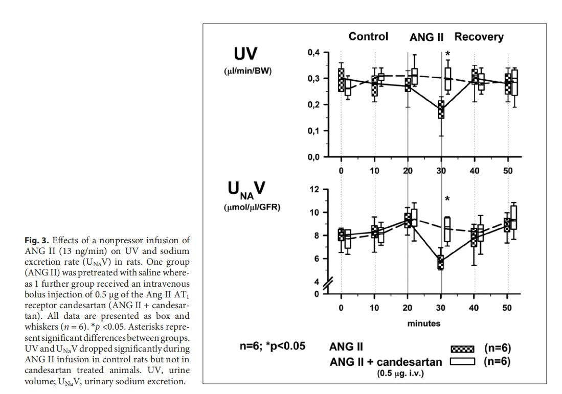 Effects of a nonpressor infusion of  ANG II (13 ng/min) on UV and sodium  excretion rate (UNaV) in rats. One group  (ANG II) was pretreated with saline whereas 1 further group received an intravenous  bolus injection of 0.5 μg of the Ang II AT1 receptor candesartan (ANG II + candesartan). All data are presented as box and  whiskers (n = 6). *p <0.05. Asterisks represent significant differences between groups.  UV and UNaV dropped significantly during  ANG II infusion in control rats but not in  candesartan treated animals. UV, urine  volume; UNaV, urinary sodium excretion.