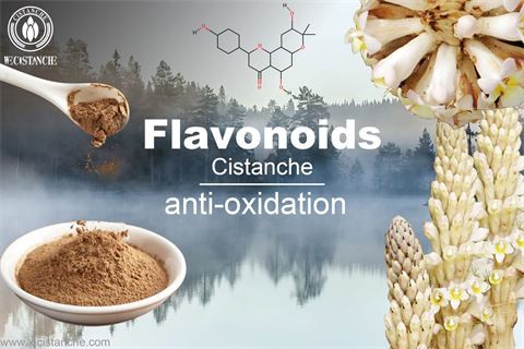 flavonoids antioxidant flavonoids antioxidant