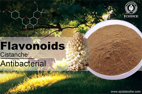 flavonoids antibacterial flavonoids antibacterial