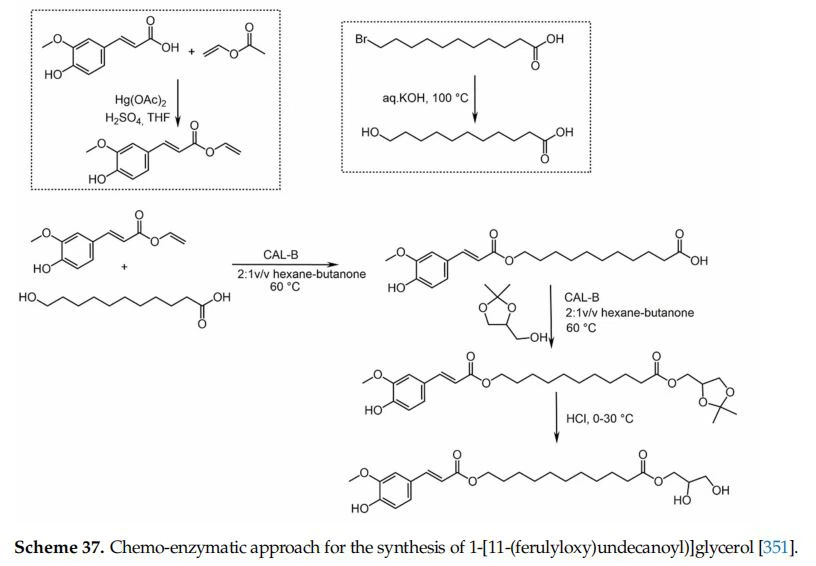 Chemo-enzymatic approach for the synthesis of 1-[11-(ferulyloxy)undecanoyl)]glycerol