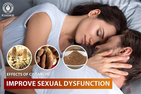 cistanche herb benefits:improve sexual dysfunction cistanche herb benefits:improve sexual dysfunction