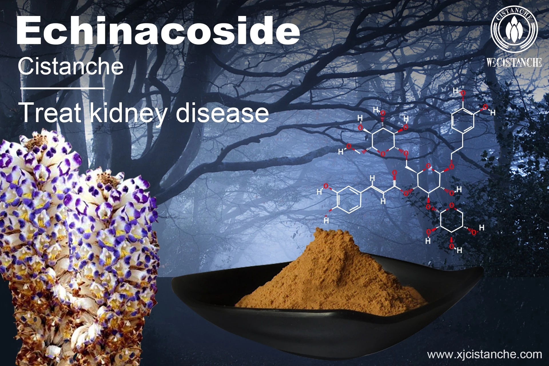 kidney failure treatment