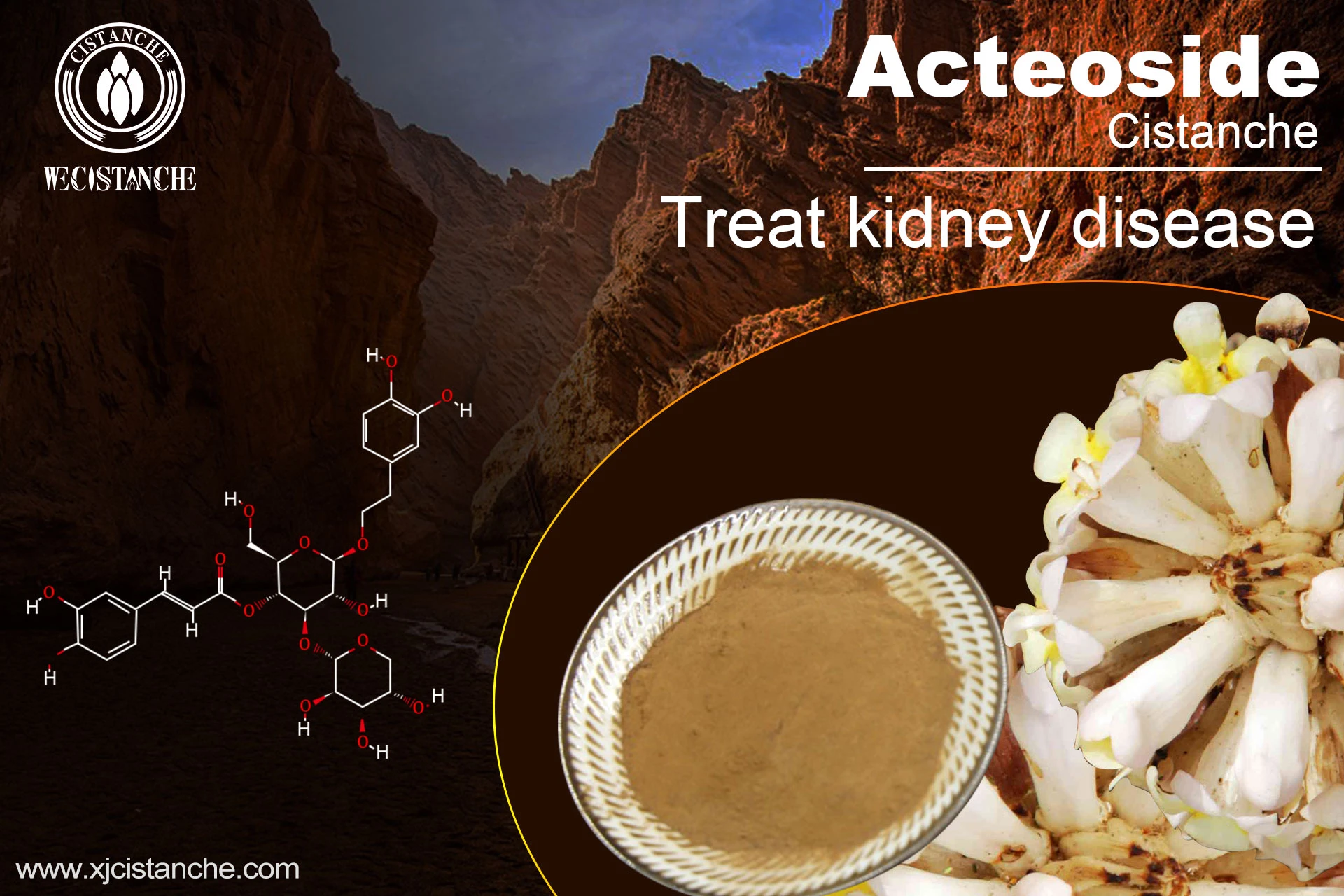 how to cure kidney problems