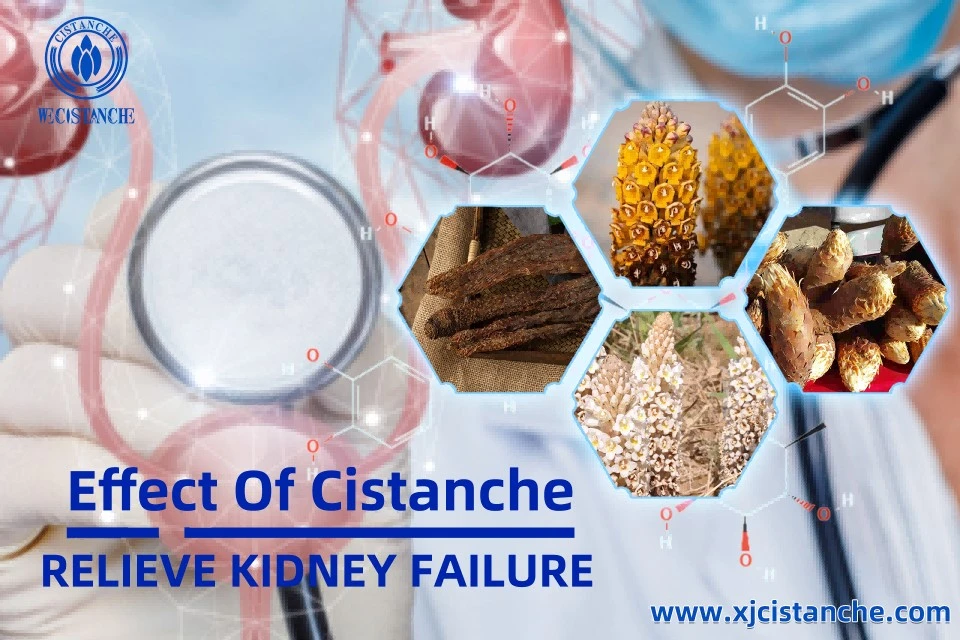 Relieve Kidney Failure