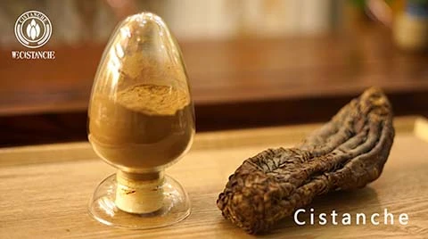 Tonify Kidney Cistanche