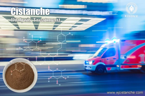 Tonify Kidney Cistanche