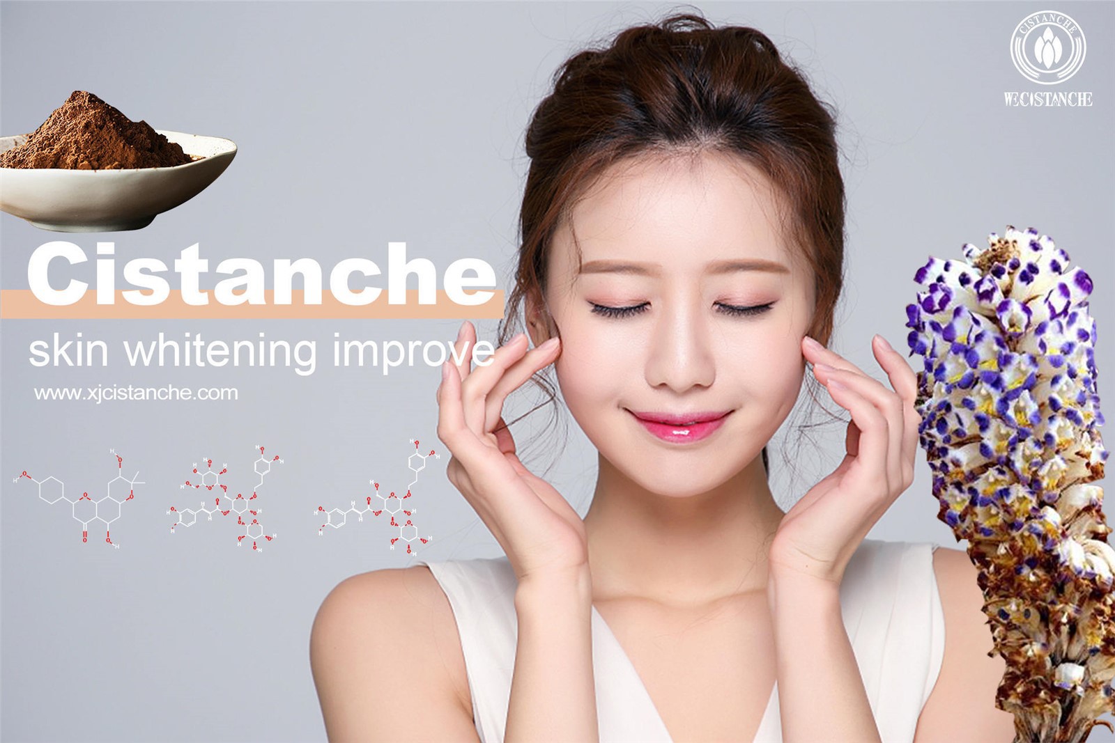 where can i buy cistanche