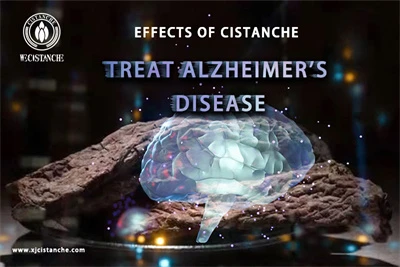 Cistanche benefits