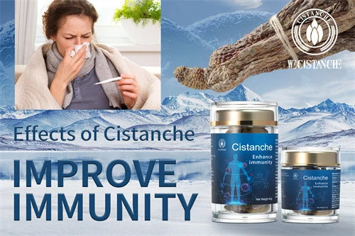 cistanche penis growth