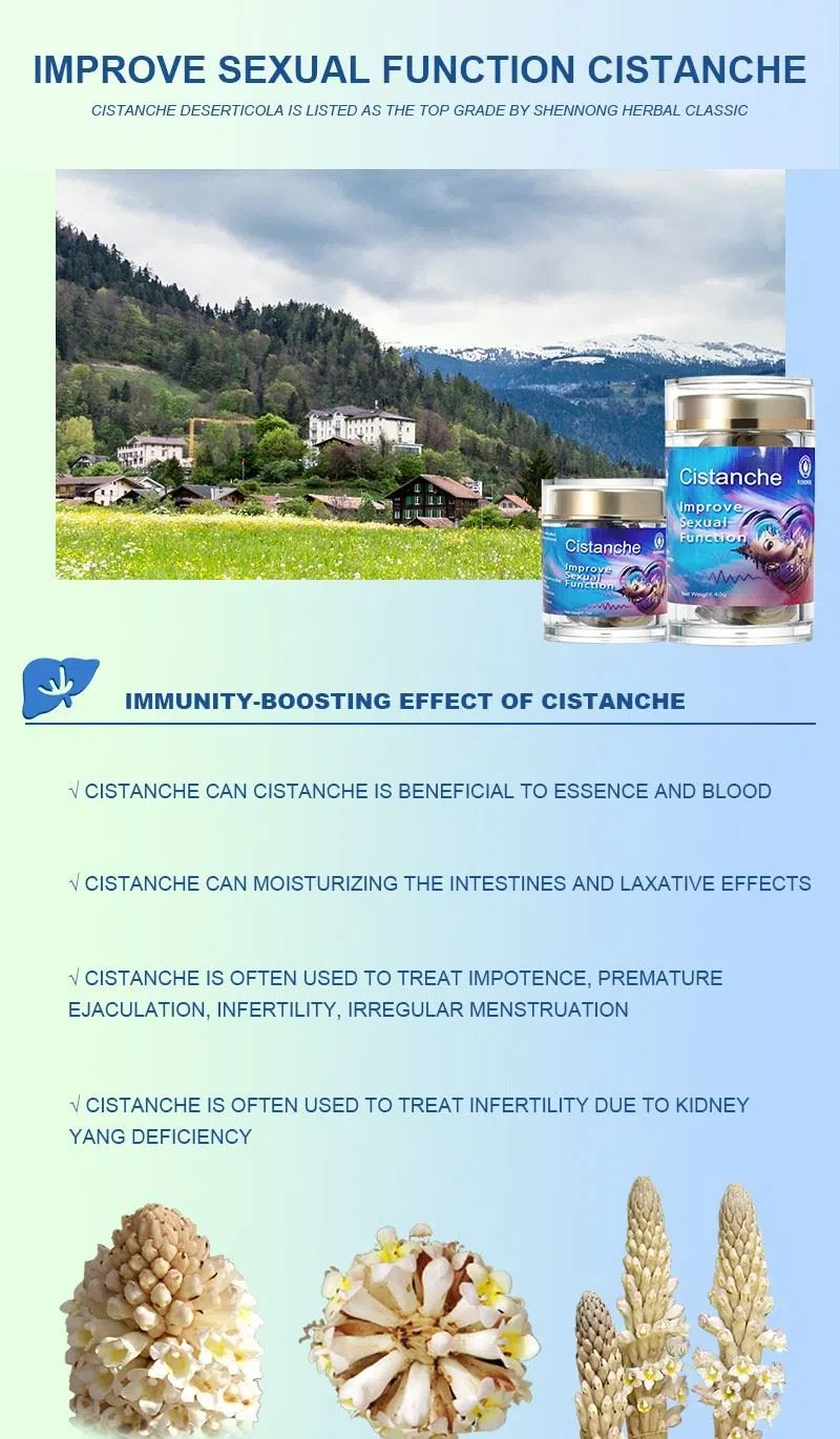 cistanche for sale
