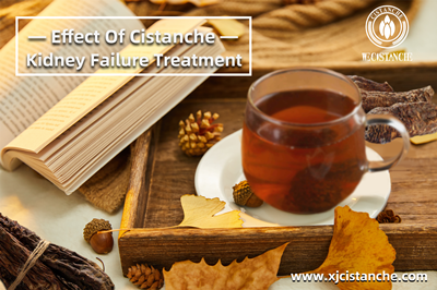 Cistanche benefits
