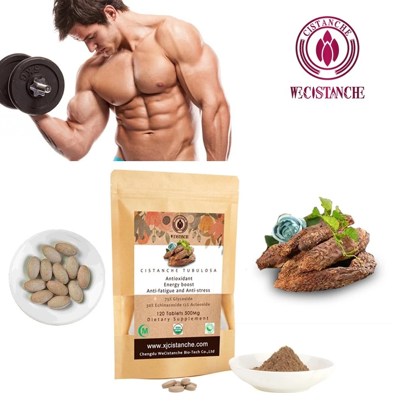cistanche increase muscle