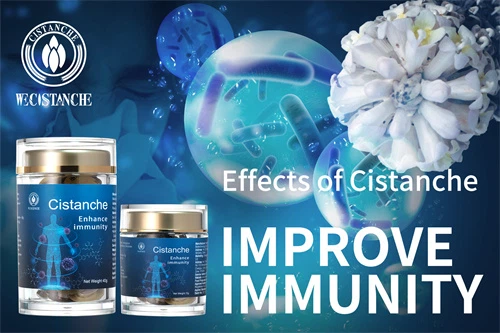 where to buy cistanche