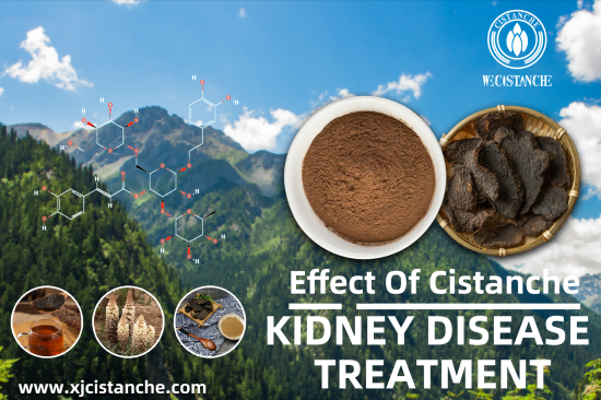 25% ECHINACOSIDE CISTANCHE FOR PRESERVING KIDNEY FUNCTION 