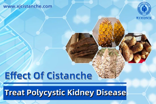 25% echinacoside 9% acteoside cistanche 