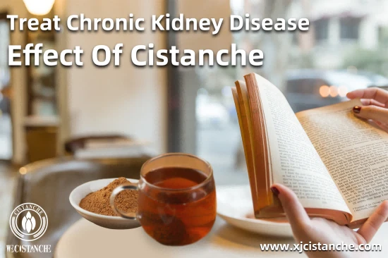  CISTANCHE EXTRACT WITH 25% ECHINACOSIDE AND 9% ACTEOSIDE FOR KIDNEY