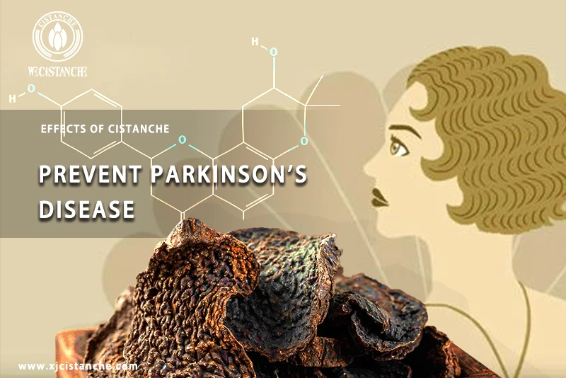 Cistanche tubulosa extract