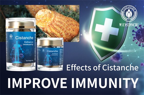 Desert ginseng-Improve immunity (16)