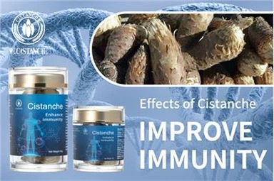 Cistanche-kiegészítő az immunrendszer erősítésére