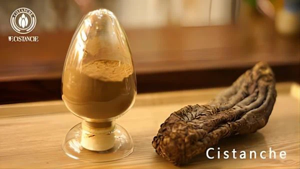 Buy Cistanche With 25 Echinacoside and 9 Acteoside Buy Cistanche With 25 Echinacoside and 9 Acteoside